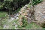 Vestiges du mur nord