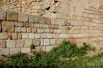 Mur sud&nbsp;: alignement des blocs et soubassement (12e siècle)